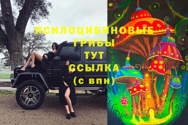 прущие крисы Верхний Тагил