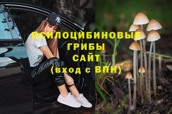прущие крисы Верхний Тагил